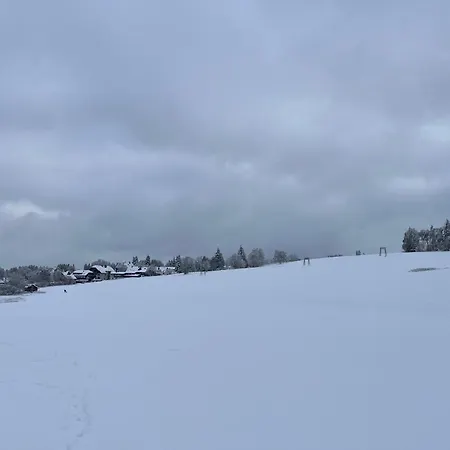 Marienkaefer *